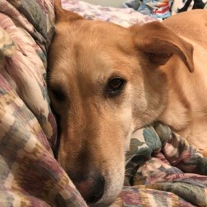 Meet your Posher, Cathy